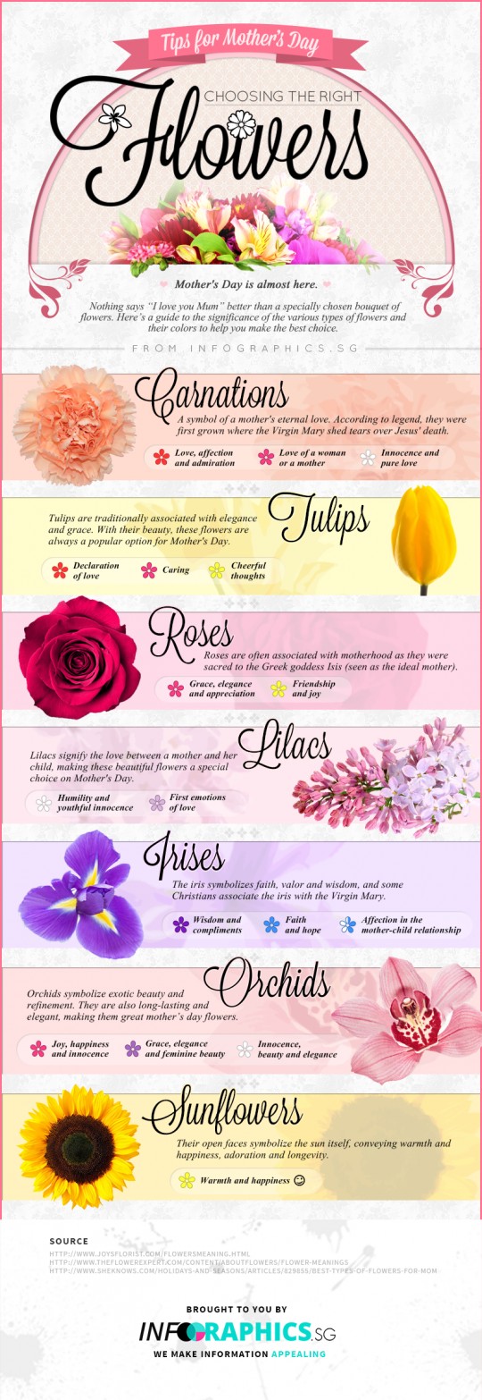 Mothers Day Flowers Infographic